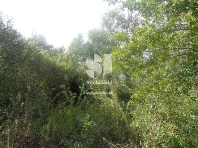 Terreno Urbano T0 - Poiares (Santo Andr�), Vila Nova de Poiares, Coimbra - Miniatura: 9/15