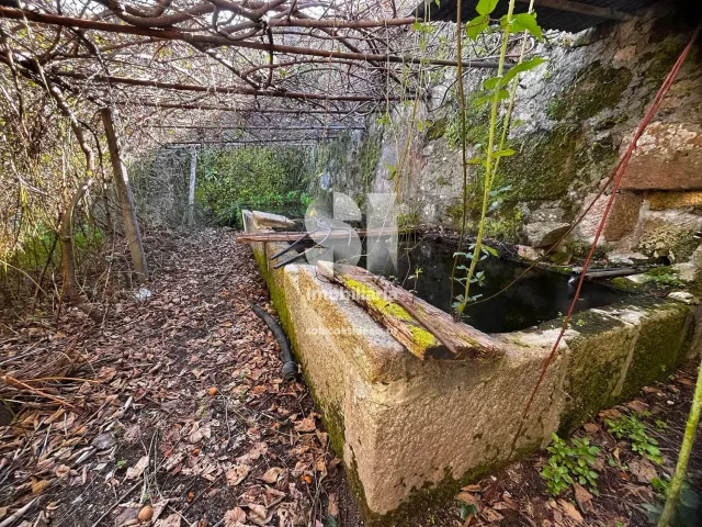 Moradia T4 - Cumieira, Santa Marta de Penagui�o, Vila Real - Miniatura: 22/29