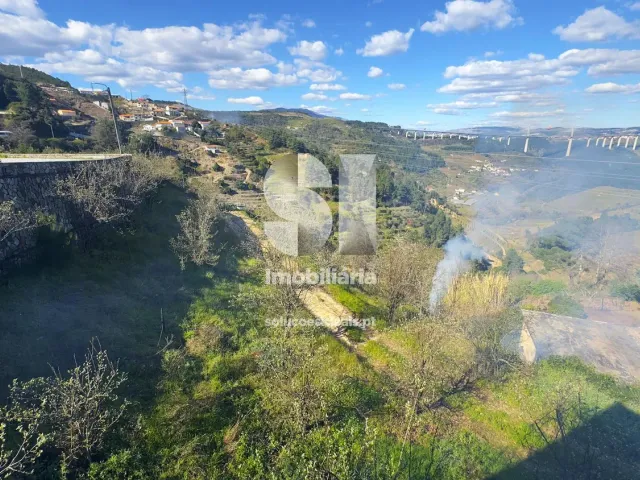 Moradia T4 - Cumieira, Santa Marta de Penagui�o, Vila Real - Miniatura: 28/29