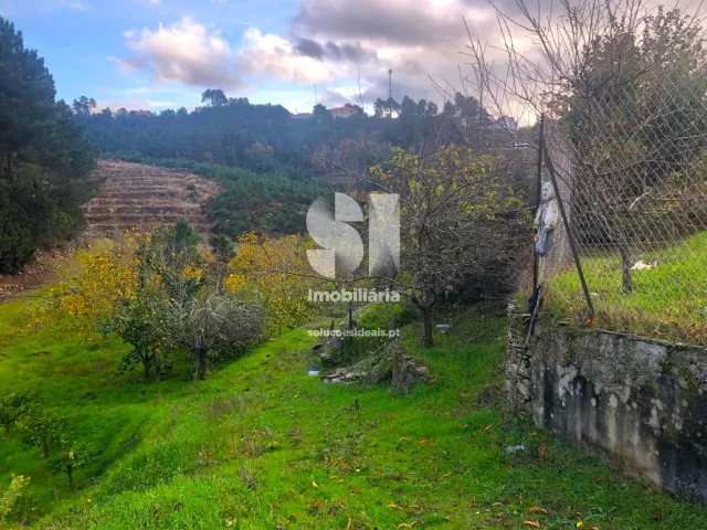 Terreno Urbano T0 - S�o Martinho de Antas e Paradela de Gui�es, Sabrosa, Vila Real - Miniatura: 4/33