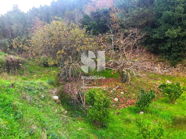 Terreno Urbano T0 - S�o Martinho de Antas e Paradela de Gui�es, Sabrosa, Vila Real - Miniatura: 8/33