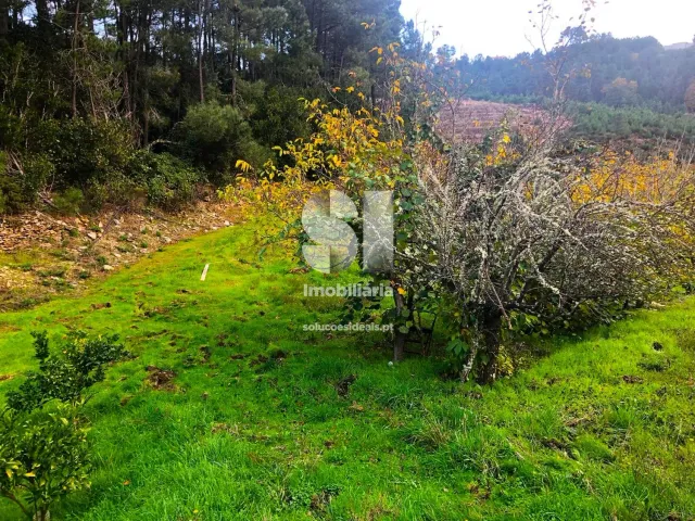 Terreno Urbano T0 - S�o Martinho de Antas e Paradela de Gui�es, Sabrosa, Vila Real - Miniatura: 9/33