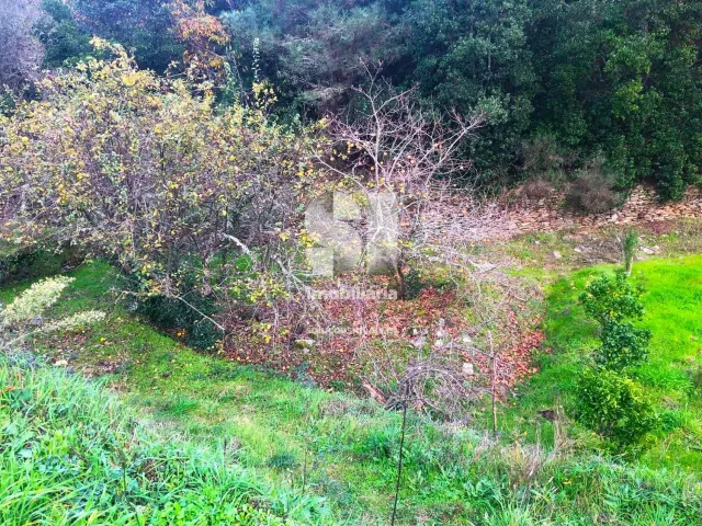 Terreno Urbano T0 - S�o Martinho de Antas e Paradela de Gui�es, Sabrosa, Vila Real - Miniatura: 10/33