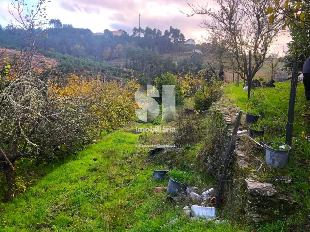 Terreno Urbano T0 - S�o Martinho de Antas e Paradela de Gui�es, Sabrosa, Vila Real - Miniatura: 11/33