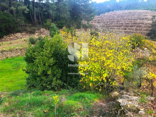 Terreno Urbano T0 - S�o Martinho de Antas e Paradela de Gui�es, Sabrosa, Vila Real - Miniatura: 14/33