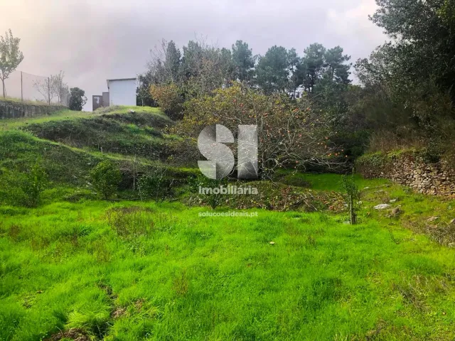 Terreno Urbano T0 - S�o Martinho de Antas e Paradela de Gui�es, Sabrosa, Vila Real - Miniatura: 15/33