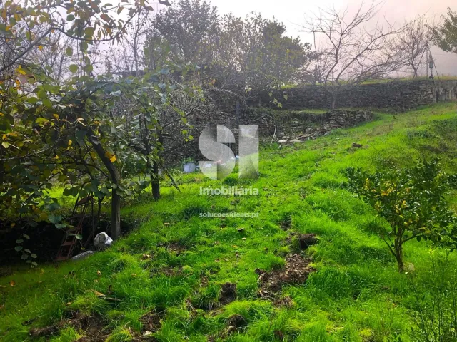 Terreno Urbano T0 - S�o Martinho de Antas e Paradela de Gui�es, Sabrosa, Vila Real - Miniatura: 17/33