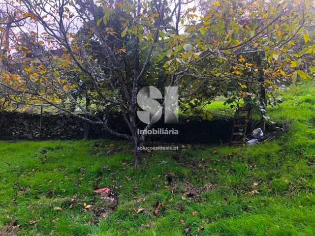 Terreno Urbano T0 - S�o Martinho de Antas e Paradela de Gui�es, Sabrosa, Vila Real - Miniatura: 22/33