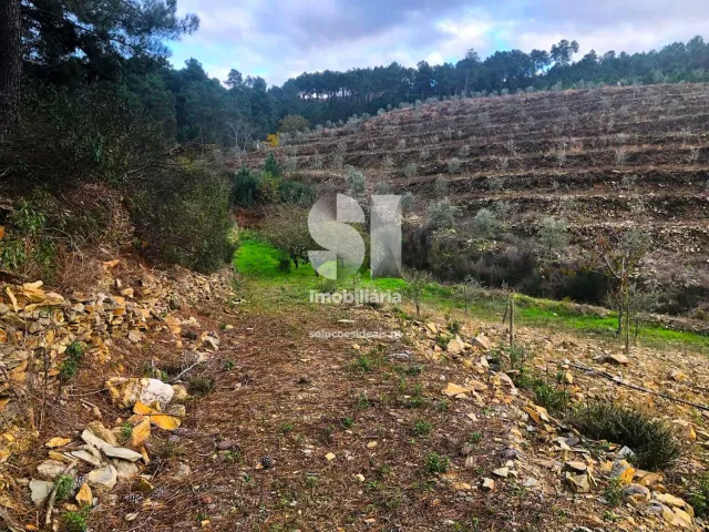 Terreno Urbano T0 - S�o Martinho de Antas e Paradela de Gui�es, Sabrosa, Vila Real - Miniatura: 23/33