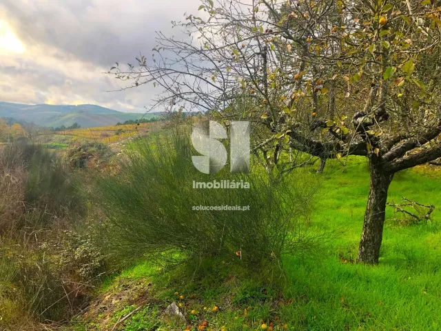 Terreno Urbano T0 - S�o Martinho de Antas e Paradela de Gui�es, Sabrosa, Vila Real - Miniatura: 24/33