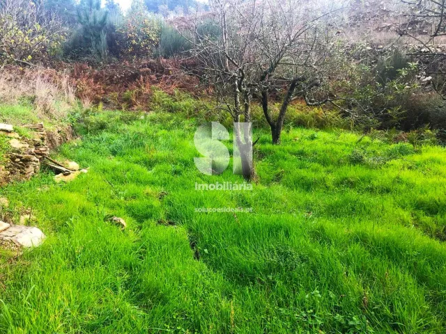 Terreno Urbano T0 - S�o Martinho de Antas e Paradela de Gui�es, Sabrosa, Vila Real - Miniatura: 25/33