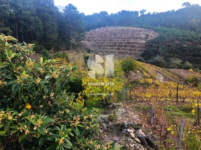 Terreno Urbano T0 - S�o Martinho de Antas e Paradela de Gui�es, Sabrosa, Vila Real - Miniatura: 28/33