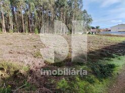 Terreno Urbano T0 - Tamengos, Anadia, Aveiro - Miniatura: 3/6