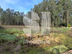 Terreno Urbano T0 - Tamengos, Anadia, Aveiro - Miniatura: 5/6