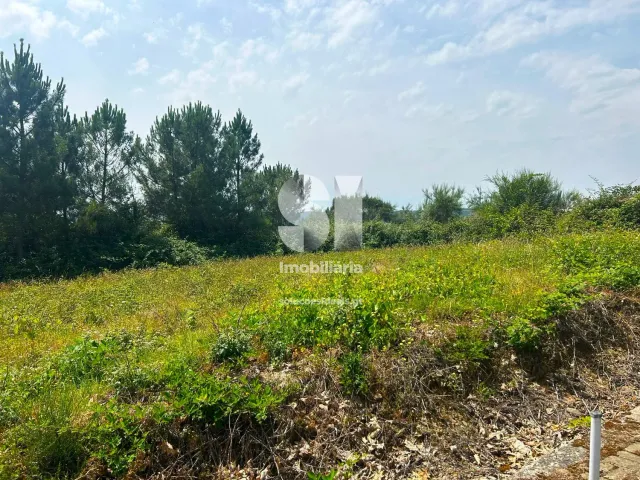 Terreno Urbano T0 - Sabrosa, Sabrosa, Vila Real - Miniatura: 2/13