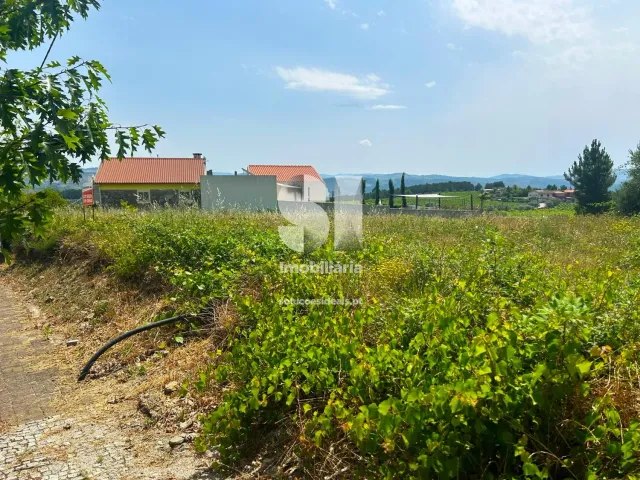 Terreno Urbano T0 - Sabrosa, Sabrosa, Vila Real - Miniatura: 3/13