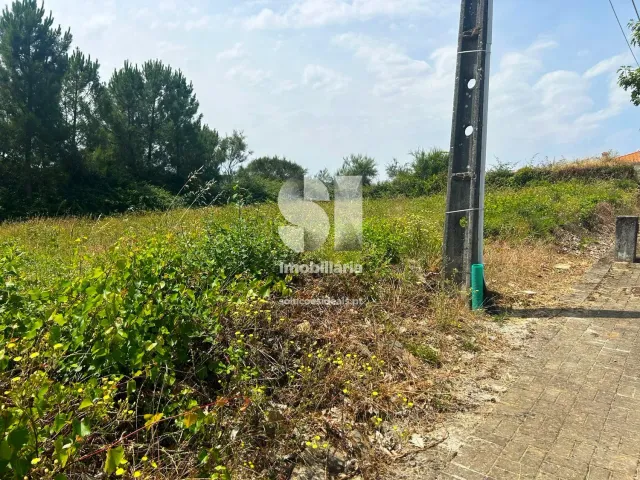 Terreno Urbano T0 - Sabrosa, Sabrosa, Vila Real - Miniatura: 9/13