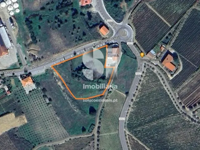 Terreno Urbano T0 - Sabrosa, Sabrosa, Vila Real - Miniatura: 13/13