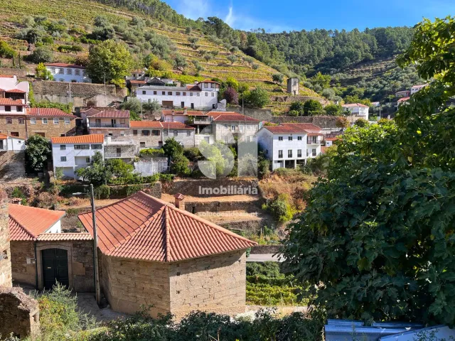 Terreno Urbano T0 - Covas do Douro, Sabrosa, Vila Real - Miniatura: 6/18