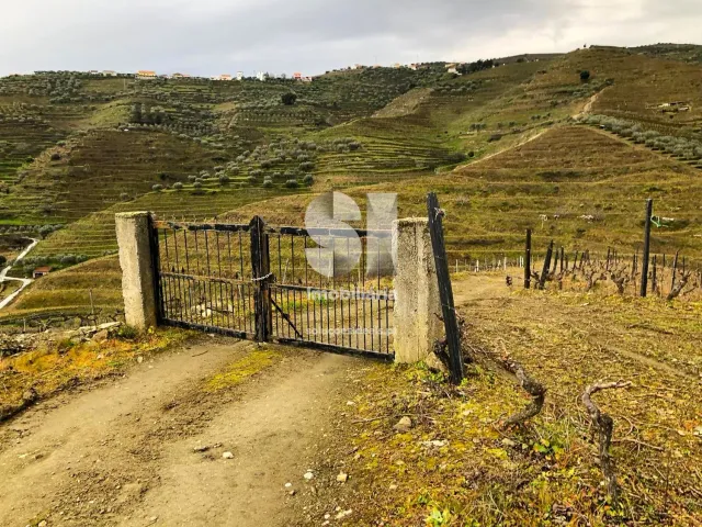 Terreno Urbano T0 - Candedo, Mur�a, Vila Real - Miniatura: 3/39