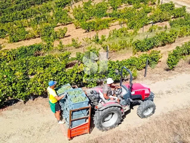 Terreno Urbano T0 - Candedo, Mur�a, Vila Real - Miniatura: 4/39