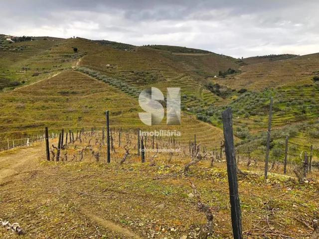 Terreno Urbano T0 - Candedo, Mur�a, Vila Real - Miniatura: 6/39