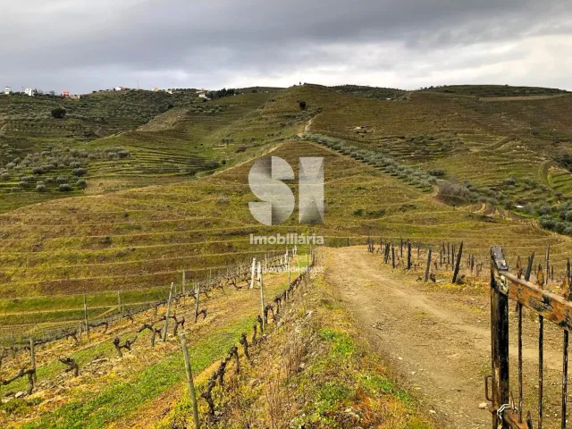 Terreno Urbano T0 - Candedo, Mur�a, Vila Real - Miniatura: 12/39