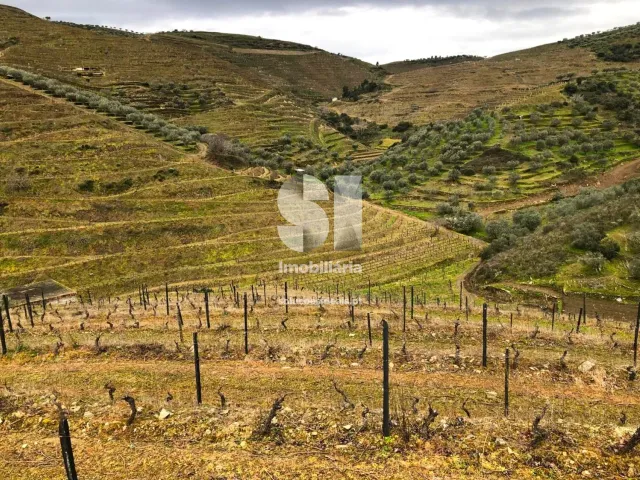 Terreno Urbano T0 - Candedo, Mur�a, Vila Real - Miniatura: 15/39