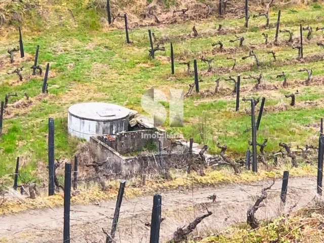 Terreno Urbano T0 - Candedo, Mur�a, Vila Real - Miniatura: 16/39