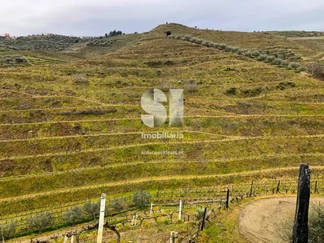 Terreno Urbano T0 - Candedo, Mur�a, Vila Real - Miniatura: 17/39