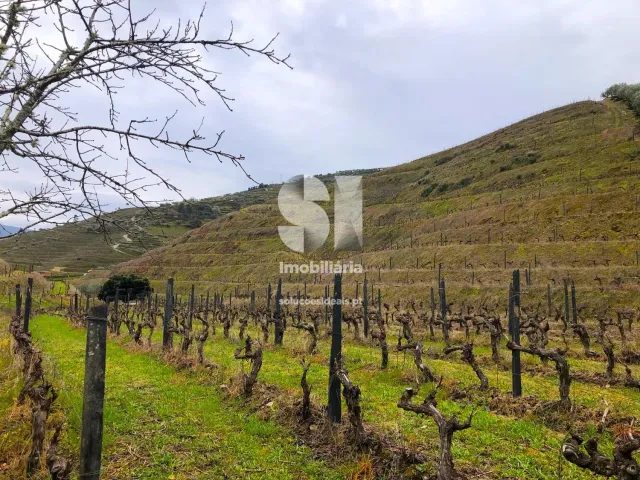 Terreno Urbano T0 - Candedo, Mur�a, Vila Real - Miniatura: 20/39