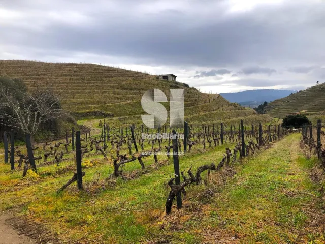 Terreno Urbano T0 - Candedo, Mur�a, Vila Real - Miniatura: 21/39