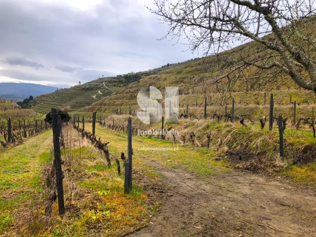 Terreno Urbano T0 - Candedo, Mur�a, Vila Real - Miniatura: 22/39