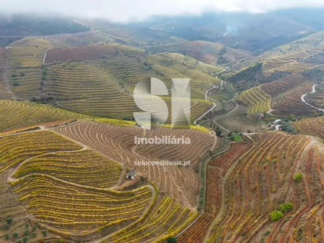 Terreno Urbano T0 - Candedo, Mur�a, Vila Real - Miniatura: 33/39