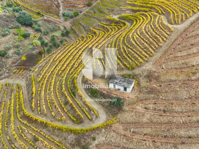 Terreno Urbano T0 - Candedo, Mur�a, Vila Real - Miniatura: 36/39