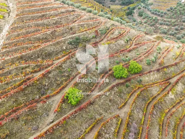 Terreno Urbano T0 - Candedo, Mur�a, Vila Real - Miniatura: 37/39