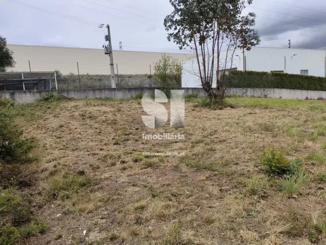 Terreno R�stico T0 - Recarei, Paredes, Porto - Miniatura: 8/29