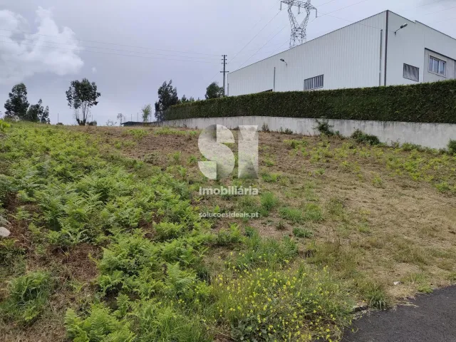 Terreno R�stico T0 - Recarei, Paredes, Porto - Miniatura: 14/29