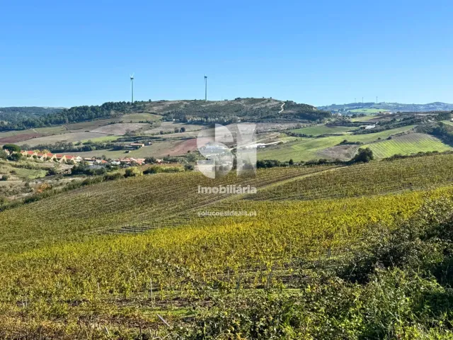 Terreno R�stico T0 - Torres Vedras, Torres Vedras, Lisboa - Miniatura: 1/16