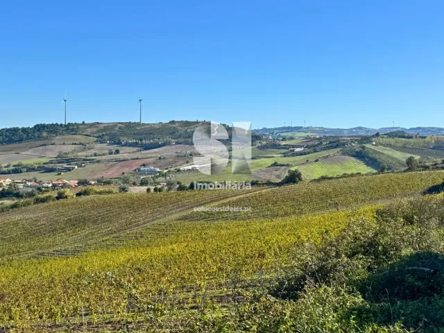 Terreno R�stico T0 - Torres Vedras, Torres Vedras, Lisboa - Miniatura: 2/16