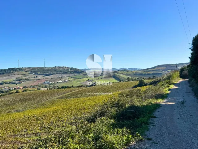 Terreno R�stico T0 - Torres Vedras, Torres Vedras, Lisboa - Miniatura: 3/16