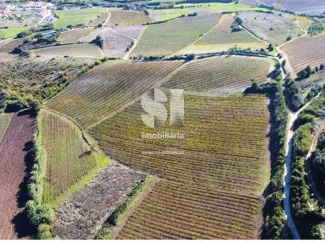 Terreno R�stico T0 - Torres Vedras, Torres Vedras, Lisboa - Miniatura: 5/16