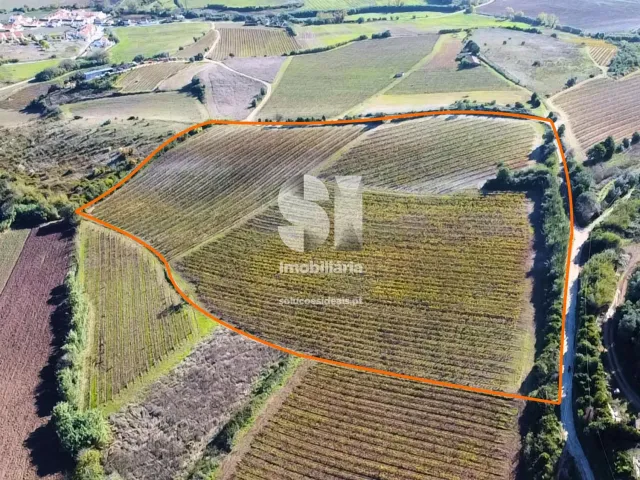 Terreno R�stico T0 - Torres Vedras, Torres Vedras, Lisboa - Miniatura: 6/16