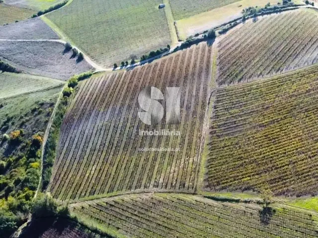 Terreno R�stico T0 - Torres Vedras, Torres Vedras, Lisboa - Miniatura: 9/16