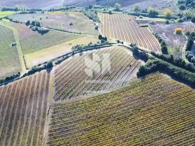 Terreno R�stico T0 - Torres Vedras, Torres Vedras, Lisboa - Miniatura: 10/16