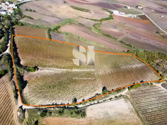 Terreno R�stico T0 - Torres Vedras, Torres Vedras, Lisboa - Miniatura: 13/16