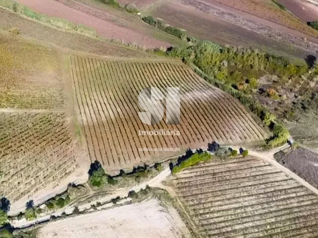 Terreno R�stico T0 - Torres Vedras, Torres Vedras, Lisboa - Miniatura: 15/16
