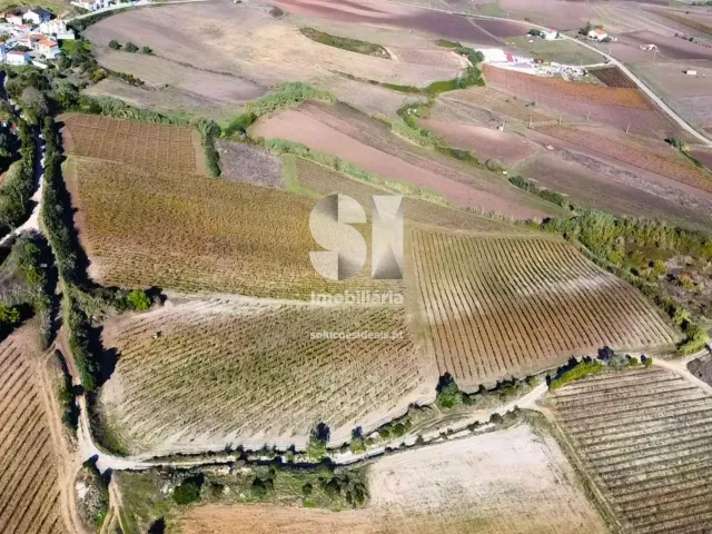 Terreno R�stico T0 - Torres Vedras, Torres Vedras, Lisboa - Miniatura: 16/16