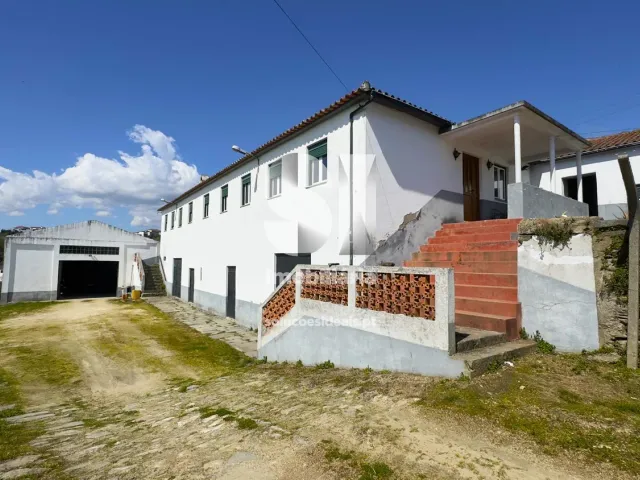 Quinta T3 - Fontelas, Peso da R�gua, Vila Real - Miniatura: 1/36