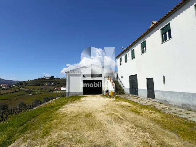 Quinta T3 - Fontelas, Peso da R�gua, Vila Real - Miniatura: 3/36